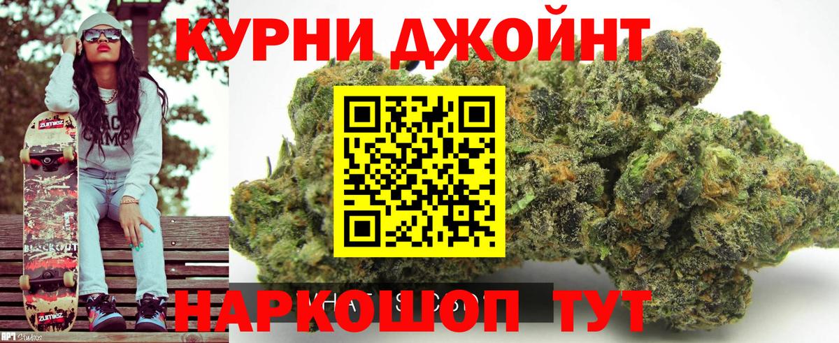 Конопля OG Kush Солнечногорск